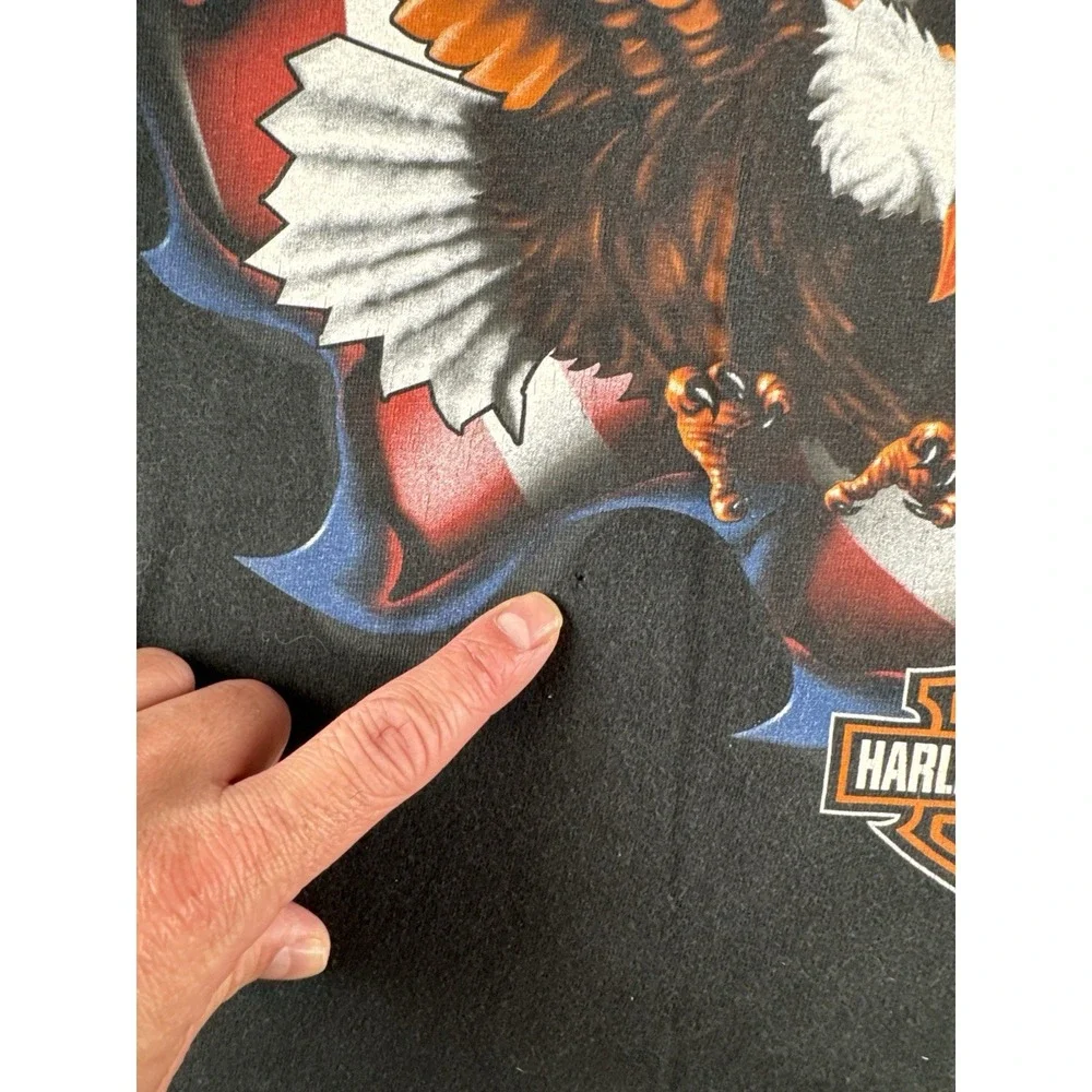 Vintage 2004 Harley Davidson Eagle Flag T-Shirt Al Muth Black River Falls L